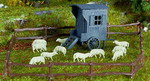 Vollmer 43742  тележка пастуха с овцами  H0