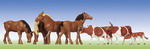 Faller 154002 фигурки Коровы  и лошади  H0