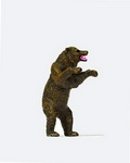 Preiser 29526 фигурки Медведь  H0