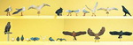 Preiser 10169 фигурки Голуби. чайки. вороны  H0
