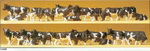 Preiser 14408 фигурки Коровы 30 шт  H0